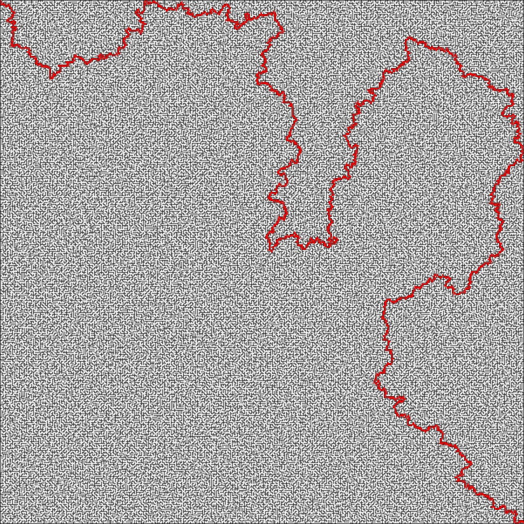 Solved Maze Image
